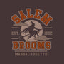 Salem Brooms-none matte poster-Thiago Correa