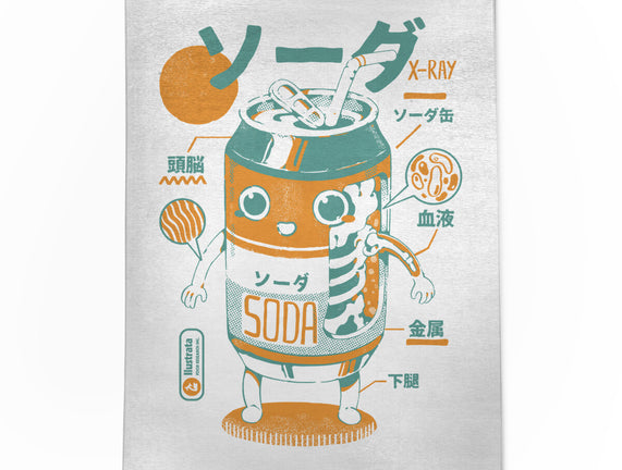 Soda Can X-Ray