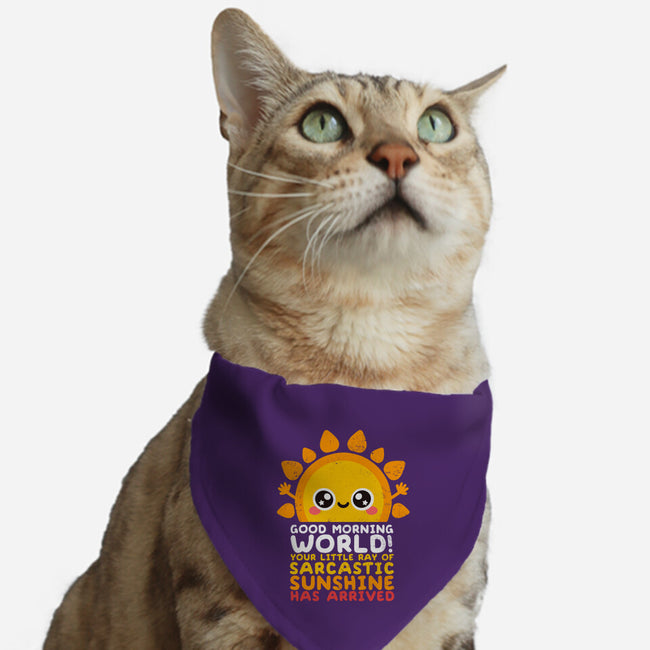 Sarcastic Sunshine-cat adjustable pet collar-NemiMakeit