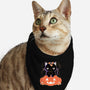 Pumpkin Cat-cat bandana pet collar-xMorfina