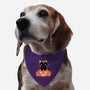 Pumpkin Cat-dog adjustable pet collar-xMorfina