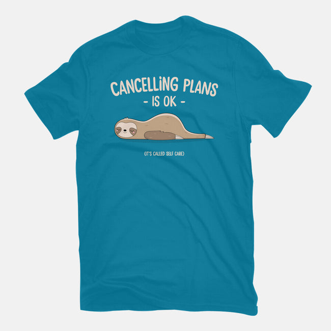Cancelling Plans Is Ok-mens heavyweight tee-retrodivision