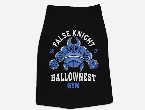 False Knight Gym