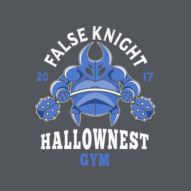 False Knight Gym-none matte poster-Logozaste