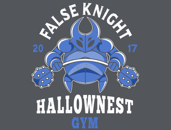 False Knight Gym