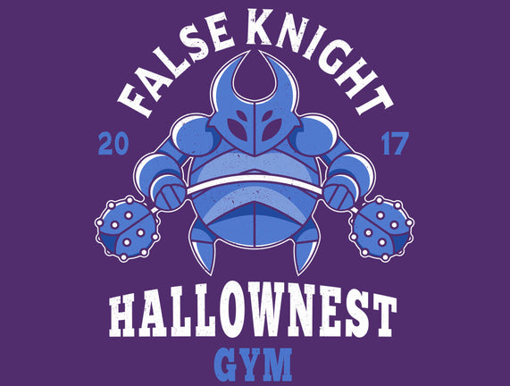 False Knight Gym