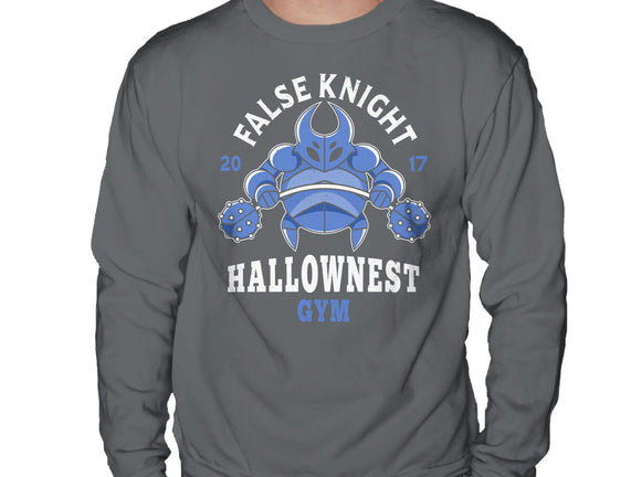 False Knight Gym