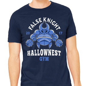 False Knight Gym