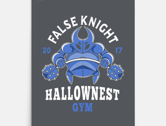 False Knight Gym