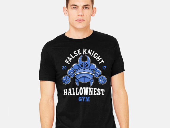 False Knight Gym