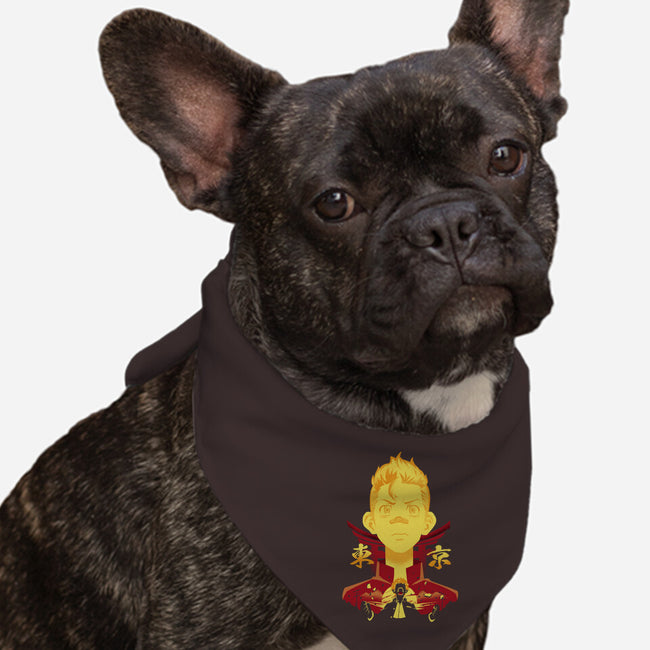 1st Division Captain-dog bandana pet collar-constantine2454