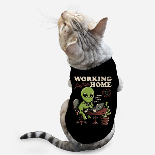 Working Far From Home-cat basic pet tank-eduely