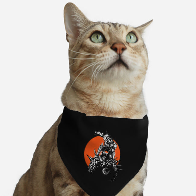 Brainhunter-cat adjustable pet collar-javisan