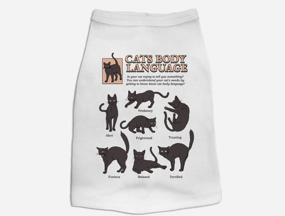 Cats Body Language