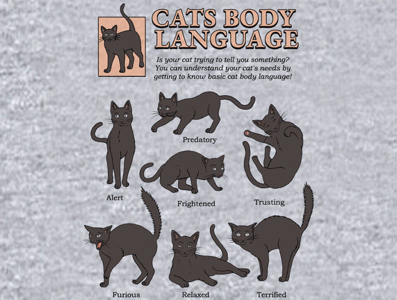 Cats Body Language