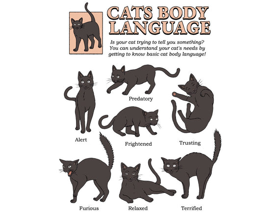 Cats Body Language