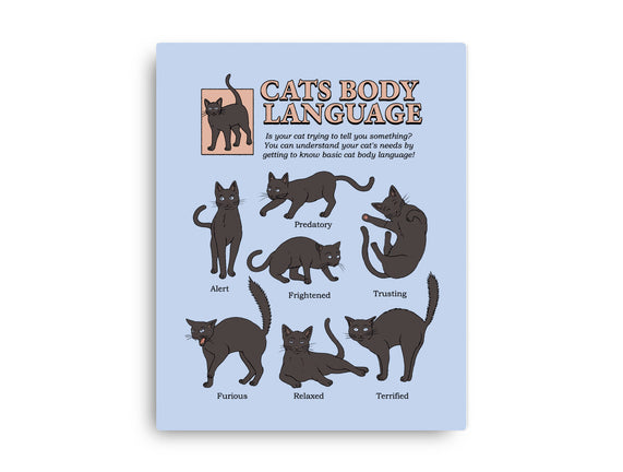 Cats Body Language