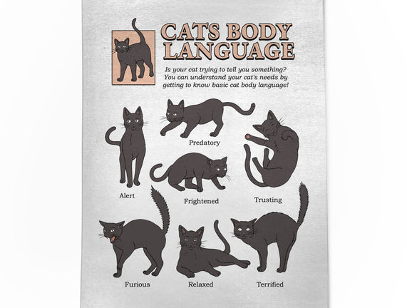 Cats Body Language