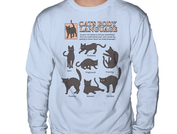 Cats Body Language