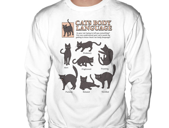 Cats Body Language