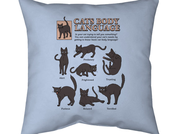 Cats Body Language