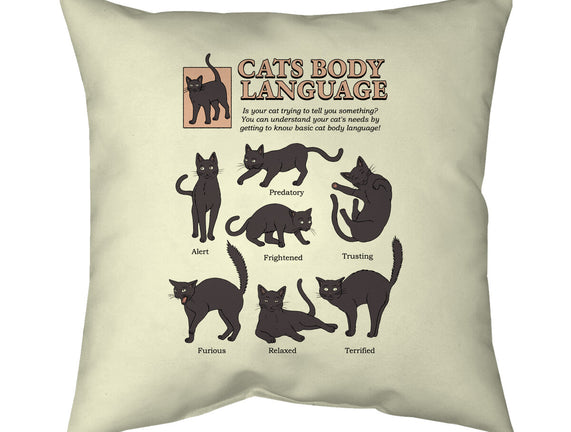 Cats Body Language