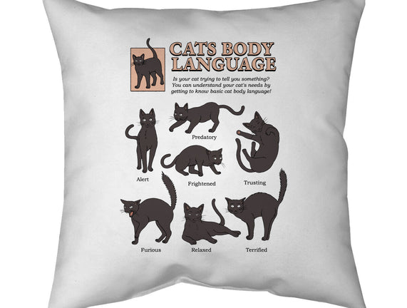 Cats Body Language