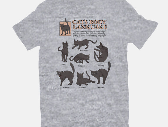 Cats Body Language