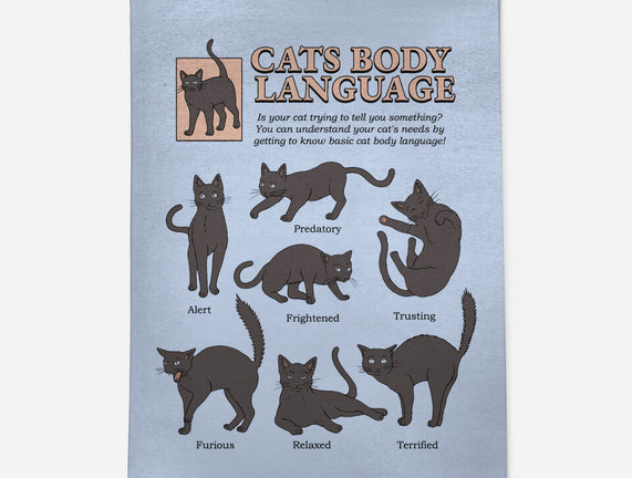 Cats Body Language