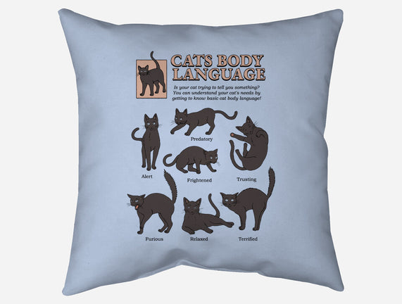 Cats Body Language