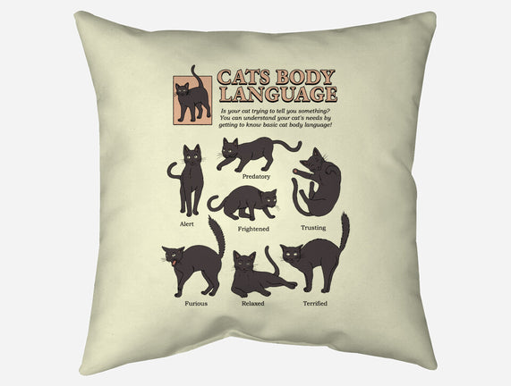 Cats Body Language