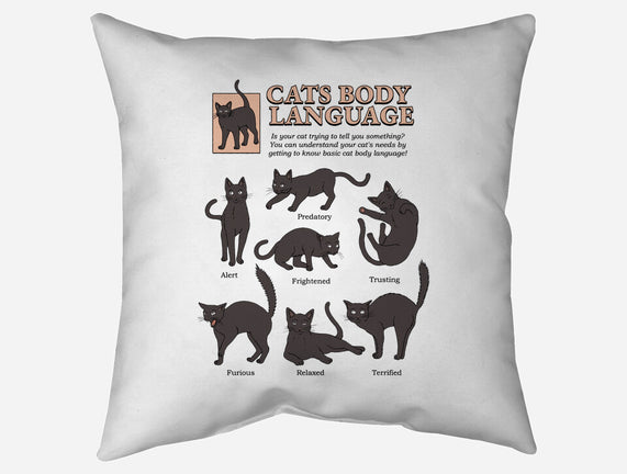 Cats Body Language