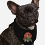 Catana On Turtle-dog bandana pet collar-vp021