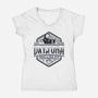 Daytona Beer-womens v-neck tee-teesgeex
