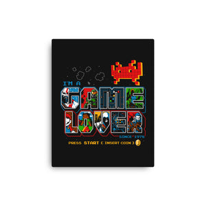 Video Game Lover
