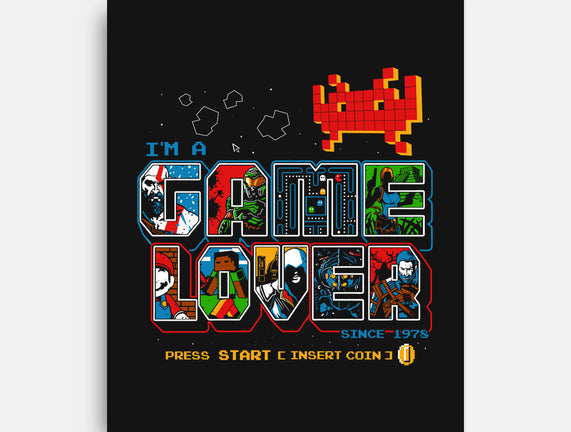 Video Game Lover
