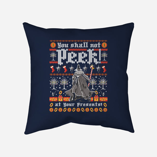 You Shall Not Peek-none removable cover w insert throw pillow-rocketman_art