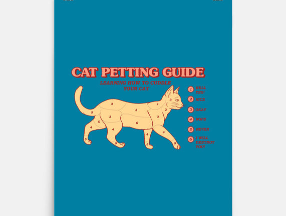 Cat Petting Guide