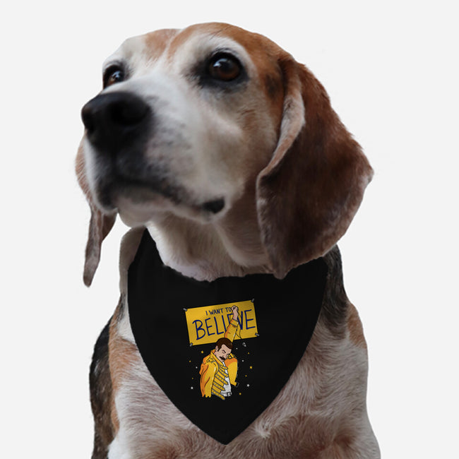 Optimistic Coach-dog adjustable pet collar-Raffiti