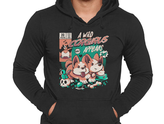 Corgirus