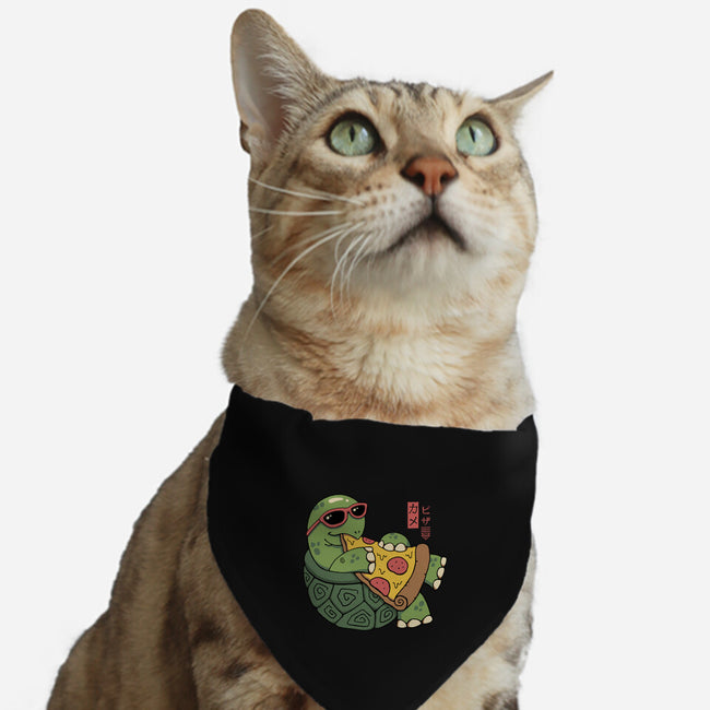 Pizza Turtle-cat adjustable pet collar-vp021