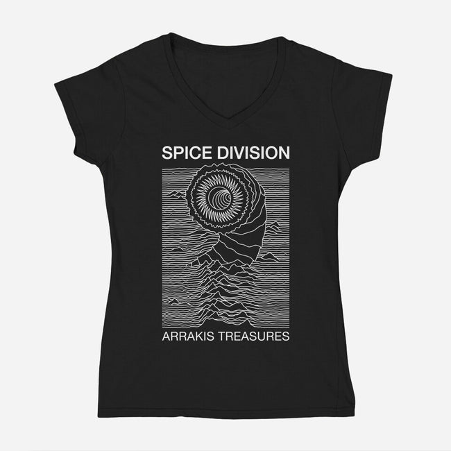 Spice Division-womens v-neck tee-CappO