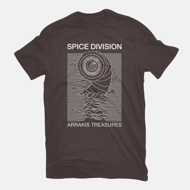 Spice Division-womens basic tee-CappO