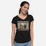 Watermelon Snack-womens v-neck tee-pigboom