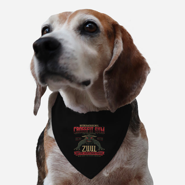 Interdimensional CrossFit-dog adjustable pet collar-teesgeex