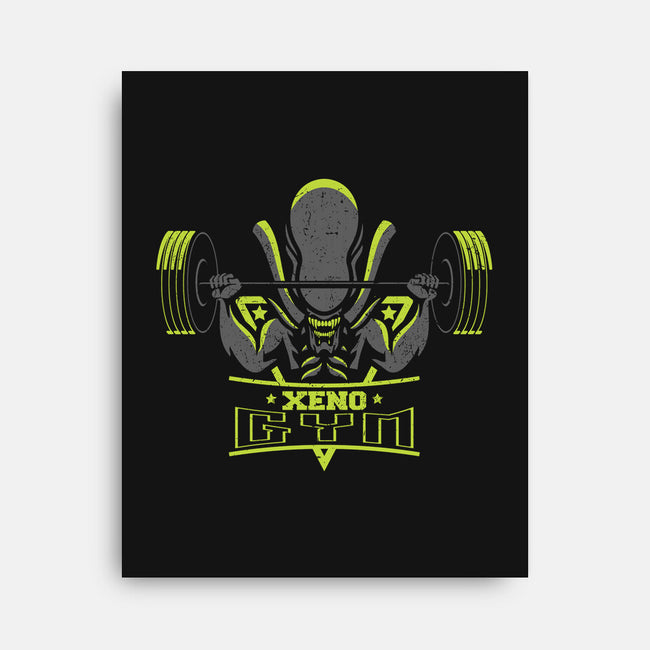 Xeno Gym-none stretched canvas-jrberger