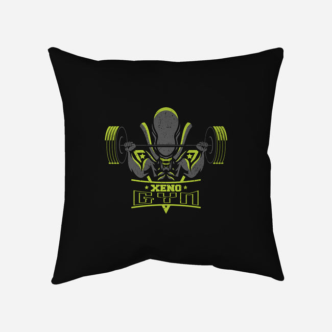 Xeno Gym-none removable cover w insert throw pillow-jrberger