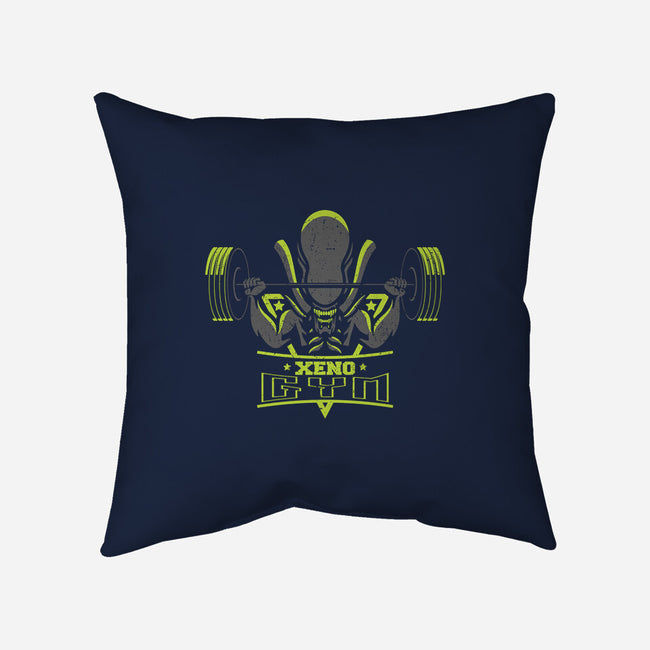 Xeno Gym-none removable cover w insert throw pillow-jrberger