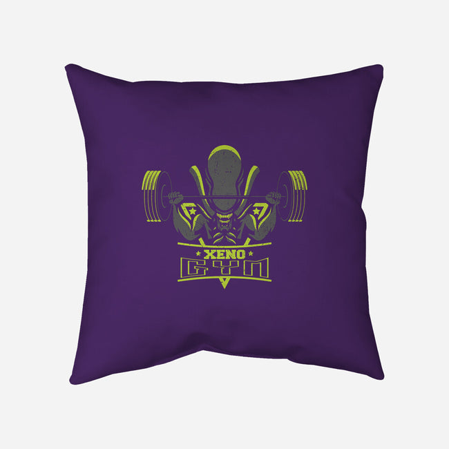 Xeno Gym-none removable cover w insert throw pillow-jrberger