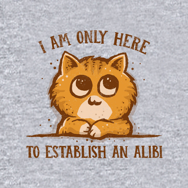 Only Here For The Alibi-womens basic tee-kg07